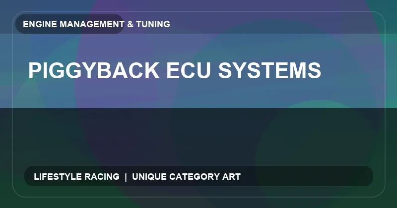 Piggyback ECU Systems